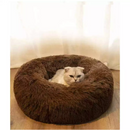 Caminha Anti-Ansiedade